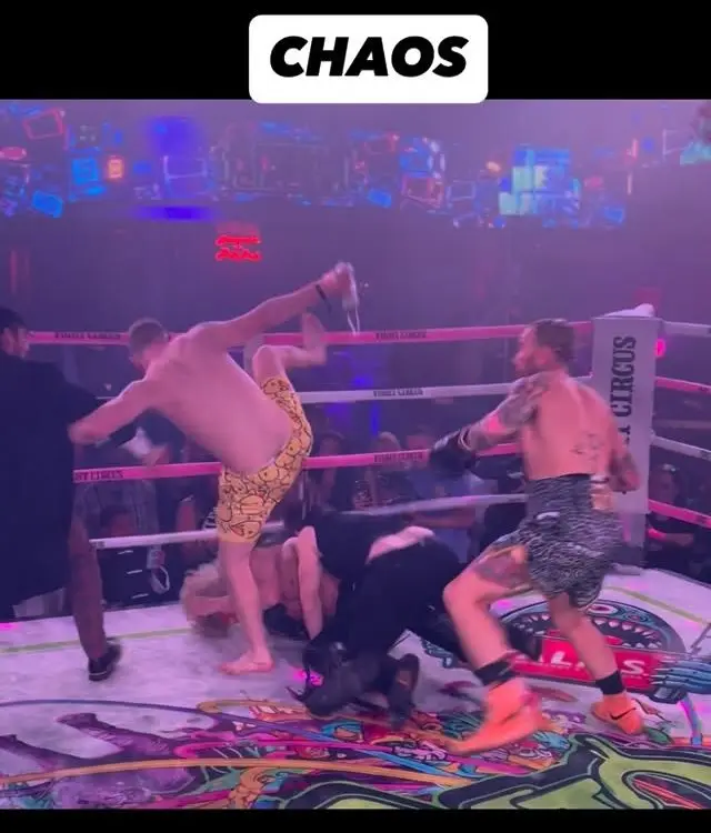 Chaos at Fight Circus
